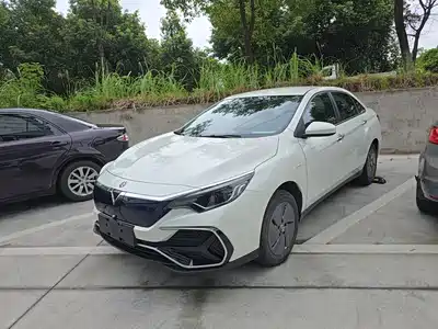 Venucia D60EV 2024