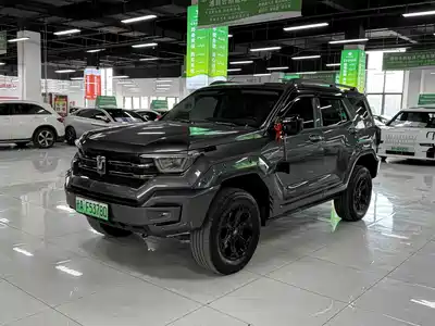 Tank 400 New Energy 2024