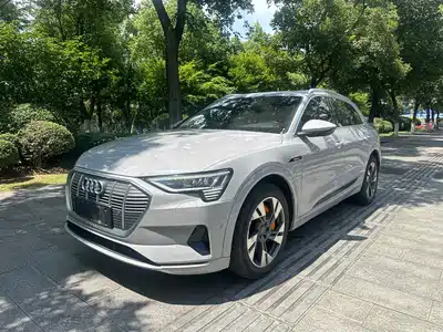Audi e-tron (Import) 2021