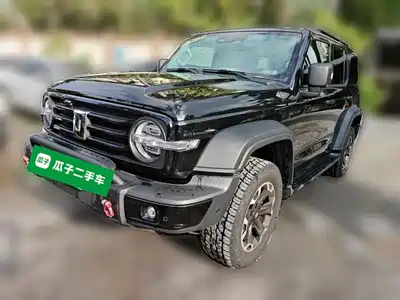 Tank 300 New Energy 2025