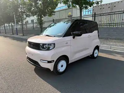 QQ New Energy QQ Ice Cream 2024