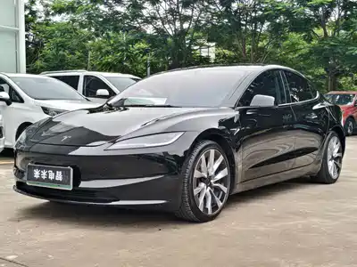 Tesla Model 3 2024