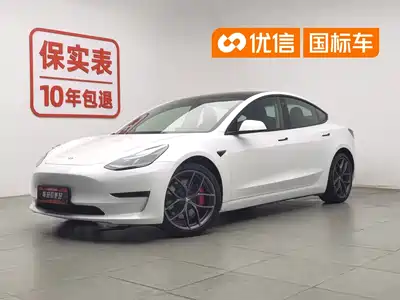Tesla Model 3 2021