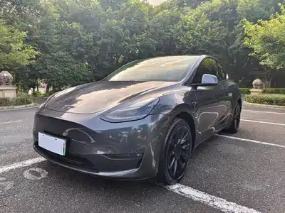 Tesla Model Y 2021