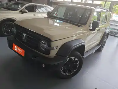 Tank 300 New Energy 2025