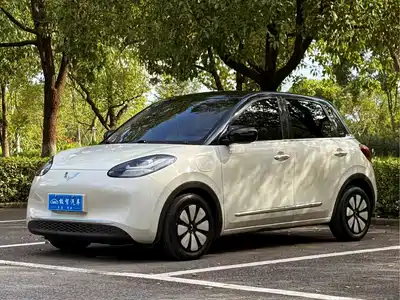 Wuling Motors Bingo 2024