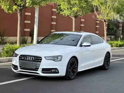Audi S5 2013