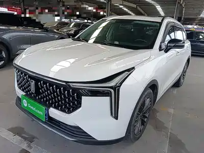 Besturn T55 2021
