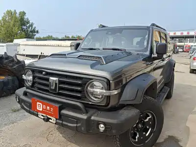 Tank 300 2024