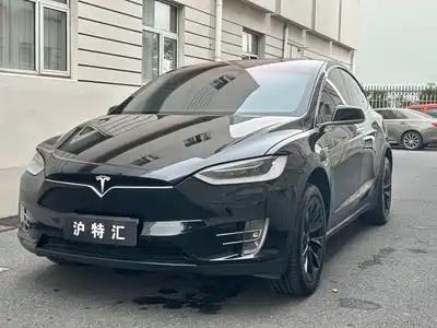 Tesla Model X 2019