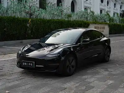 Tesla Model 3 (Import) 2019