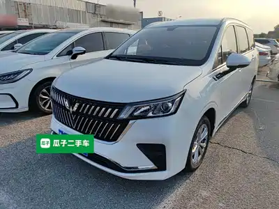Wuling Motors Jiachen 2025