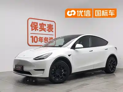 Tesla Model Y 2021