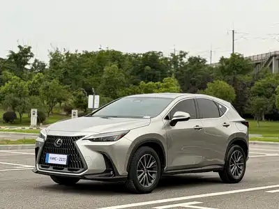 Lexus NX 2022