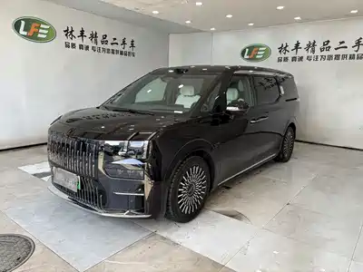 ZEEKR 009 2026