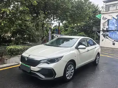 Venucia D60EV 2025