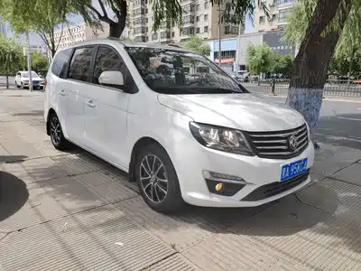 Dongfeng Fengxing S500 2016