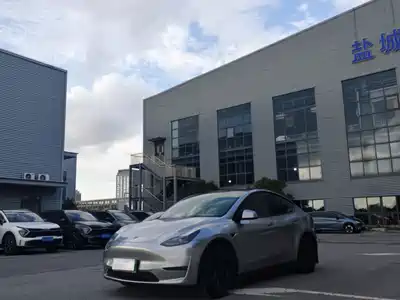 Tesla Model Y 2021