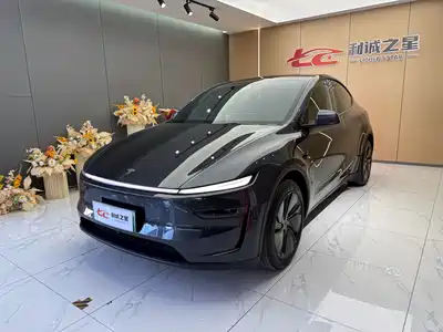 Tesla Model Y 2025