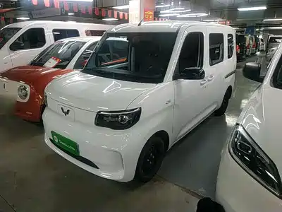 Wuling Motors Zhiguang NEV 2025