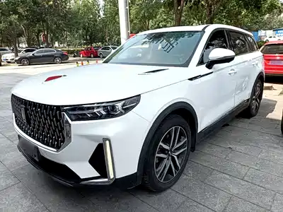 Besturn T99 2020