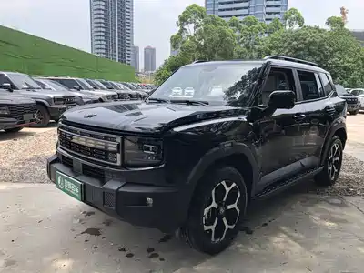 Jetour Shanhai T1 2024