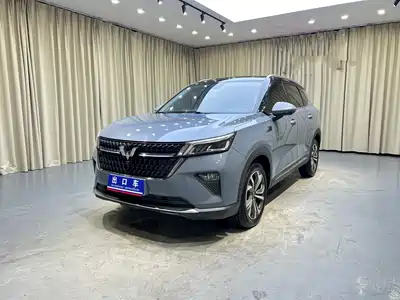 Wuling Motors Xingchen 2022