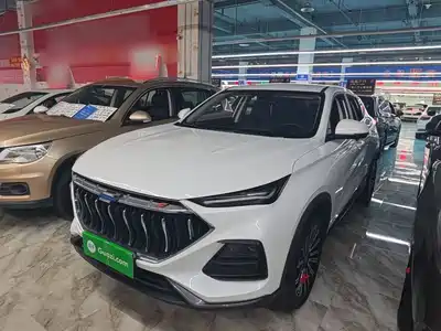 Changan Oshan Oushang X5 2021