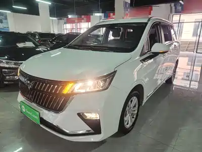 Wuling Motors Jiachen 2023