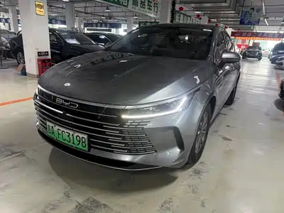 BYD Destroyer 05 2024