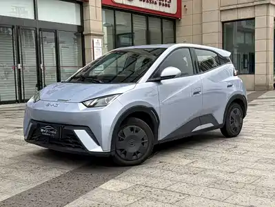 BYD Seagull 2024