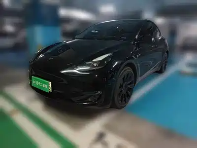 Tesla Model Y 2021