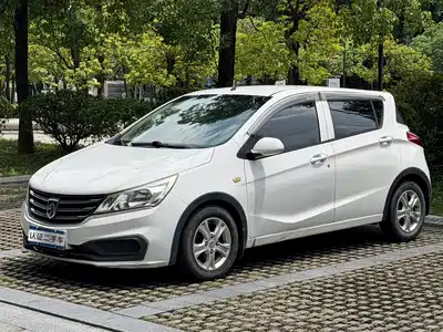 Baojun 310 2018