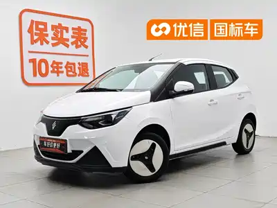 JMCG New Energy Little Kirin 2024
