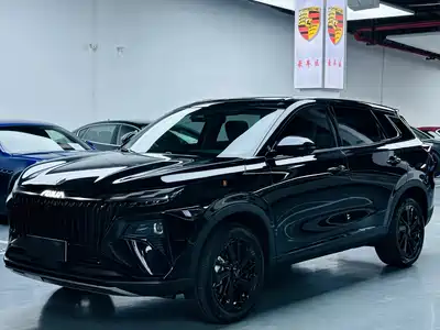Dongfeng Aeolus Haoji 2025