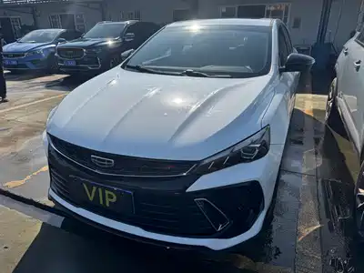 Geely Binrui 2023