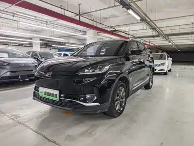 Weltmeister EX5 2019
