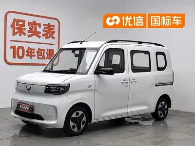 Wuling Motors Zhiguang NEV 2025