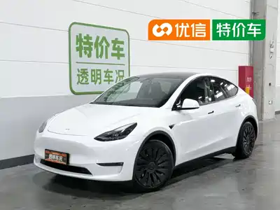 Tesla Model Y 2021