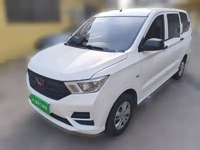 Wuling Motors Hongguang 2024
