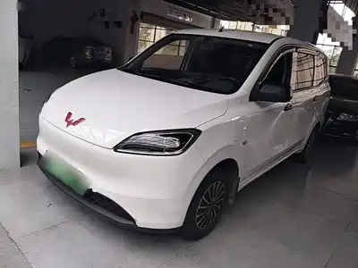 Wuling Motors Hongguang New Energy 2024