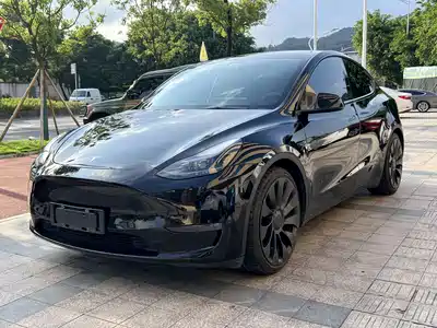 Tesla Model Y 2021