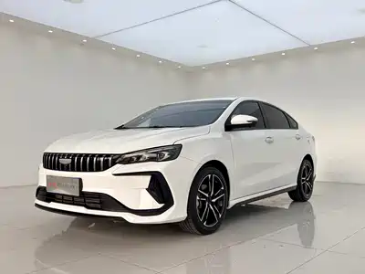 Geely Binrui 2024