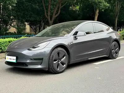 Tesla Model 3 2020