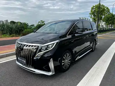 GAC Trumpchi M8 2021