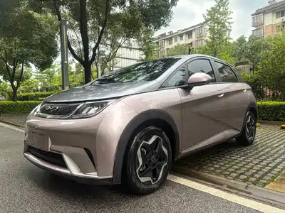 BYD Dolphin 2021