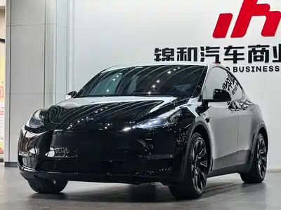 Tesla Model Y 2024