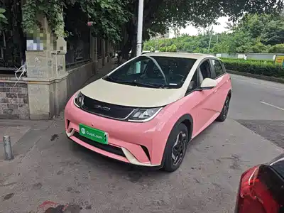 BYD Dolphin 2021