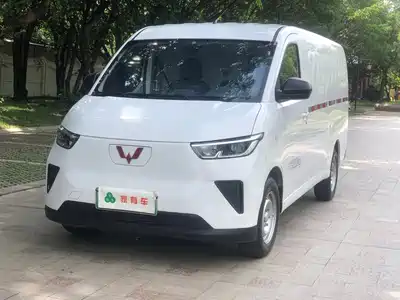 Wuling Motors Yangguang 2024