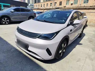 BYD Dolphin 2025